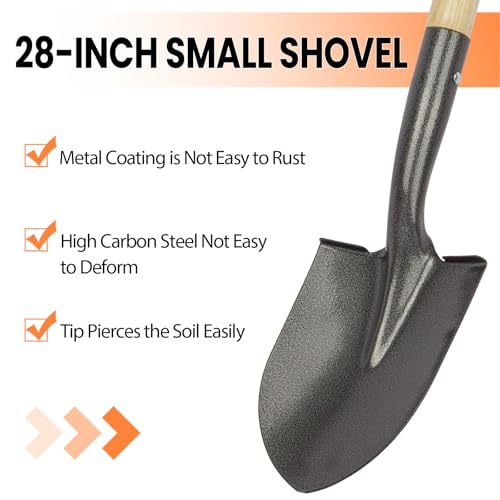  Small Round Shovel for Kids and Adults - 28-inch D-Handle Metal Beach and Garden Shovel
| Versatile 28-inch Kids and Ad